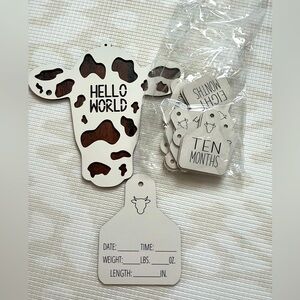 Newborn Monthly Milestone Tags